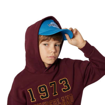Sweatshirt com bolso canguru TIMBERLAND BOY