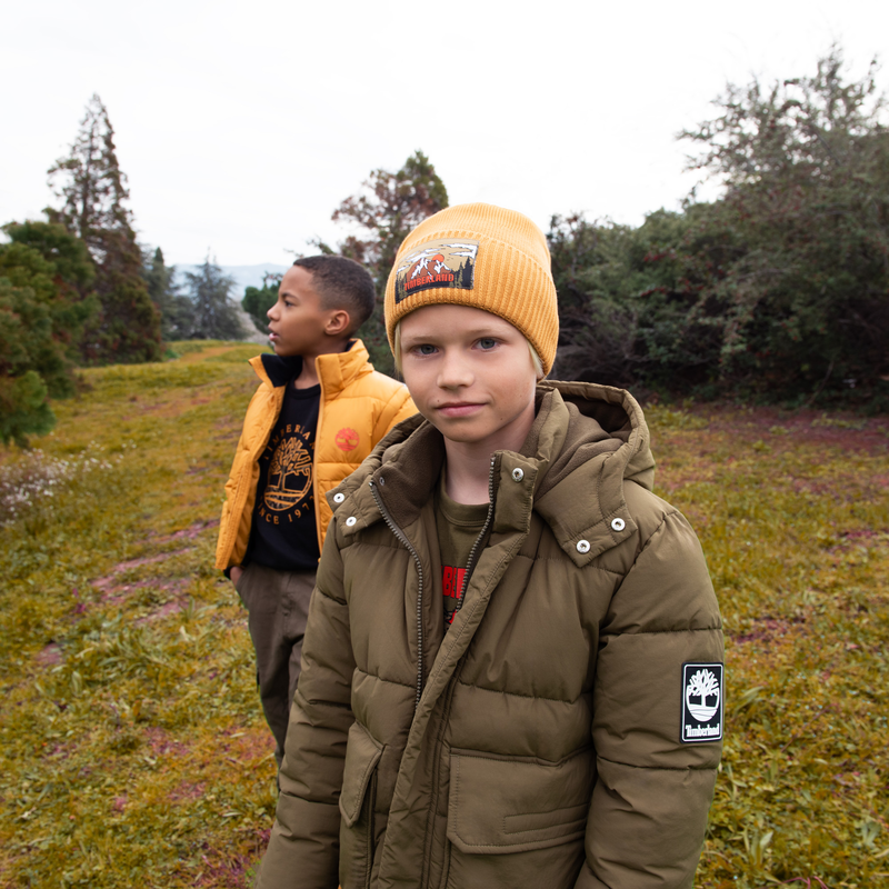 Sweatshirt de molet&atilde;o felpado TIMBERLAND 
                        BOY