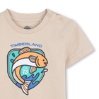 T-shirt de manga curta TIMBERLAND 
                    BOY