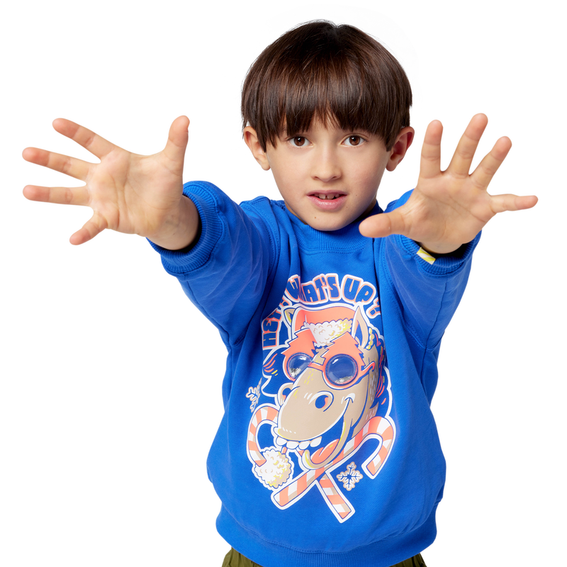 Moletom de Natal BILLIEBLUSH 
                        BOY