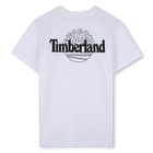 Camiseta de mangas curtas TIMBERLAND 
                    BOY