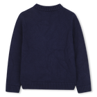 Camisola de malha BILLIEBLUSH 
                    BOY