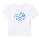 Conjunto de t-shirts e cal&ccedil;&otilde;es TIMBERLAND 
                    BOY