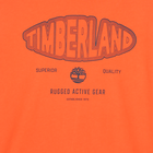 T-shirt de manga comprida em jersey TIMBERLAND 
                    BOY