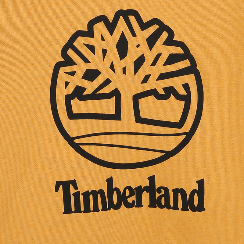 MOLETOM TIMBERLAND 
                        BOY