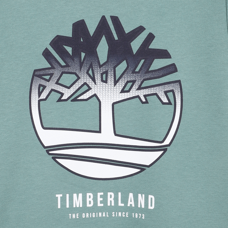 SWEAT COM CAPUCHA TIMBERLAND 
                    BOY