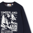 Su&eacute;ter TIMBERLAND 
                    BOY