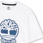 T-shirt bicolor com log&oacute;tipo TIMBERLAND 
                    BOY