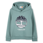 SWEAT COM CAPUCHA, VERDE FLORESTA, hi-res