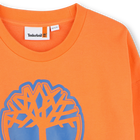 Sweatshirt com log&oacute;tipo TIMBERLAND 
                    BOY