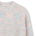 Su&eacute;ter BILLIEBLUSH 
                    GIRL