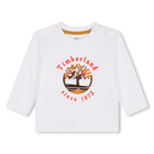 T-shirt com logo estampado TIMBERLAND 
                    BOY