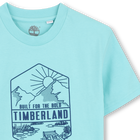 T-shirt de manga curta TIMBERLAND 
                    BOY