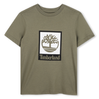 Camiseta de mangas curtas TIMBERLAND 
                    BOY
