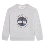 Sweatshirt de molet&atilde;o felpado TIMBERLAND 
                    BOY