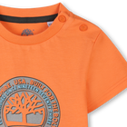 T-shirt de manga curta TIMBERLAND 
                    BOY