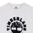 T-shirt de manga curta TIMBERLAND 
                    BOY