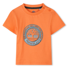 T-shirt de manga curta TIMBERLAND 
                    BOY