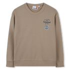 Sweatshirt de molet&atilde;o TIMBERLAND 
                    MENINO