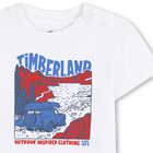 T-shirt de manga curta TIMBERLAND 
                    BOY
