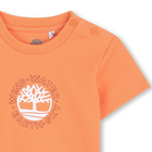 T-shirt de manga curta TIMBERLAND 
                    BOY