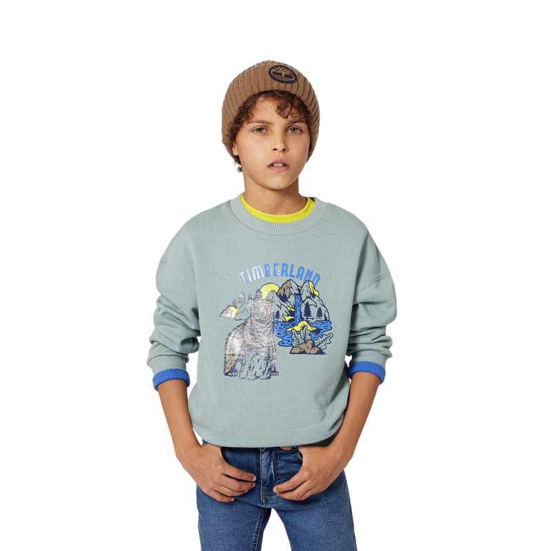 Moletom de lã escovada TIMBERLAND 
                    BOY