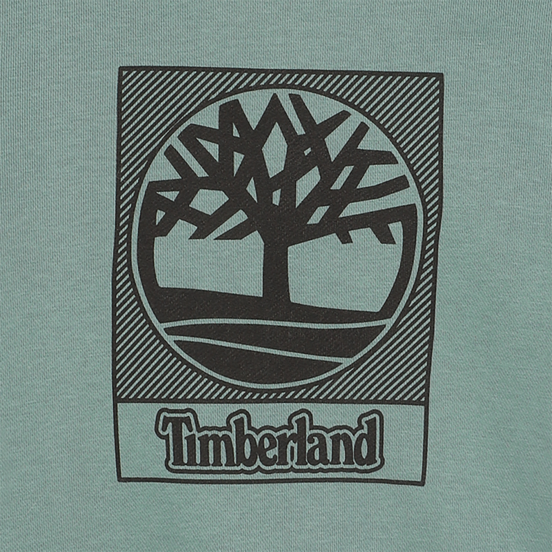 Fleece hoodie TIMBERLAND 
                    BOY