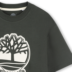 T-shirt bicolor com log&oacute;tipo TIMBERLAND 
                    BOY