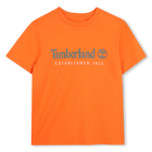 Camiseta de mangas curtas, FOGO DE ARTIF&Iacute;CIO, hi-res