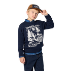 Su&eacute;ter TIMBERLAND 
                    BOY