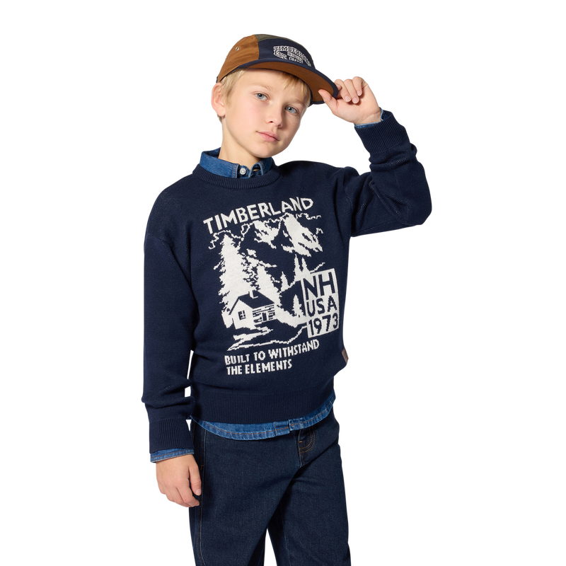 Su&eacute;ter TIMBERLAND 
                        BOY