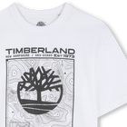 T-shirt de manga curta TIMBERLAND 
                    BOY