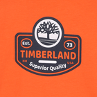 T-shirt de manga comprida TIMBERLAND 
                    BOY