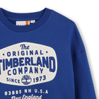 Su&eacute;ter TIMBERLAND 
                    BOY