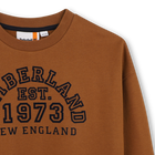 Su&eacute;ter TIMBERLAND 
                    BOY