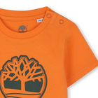 T-shirt de manga curta TIMBERLAND 
                    BOY